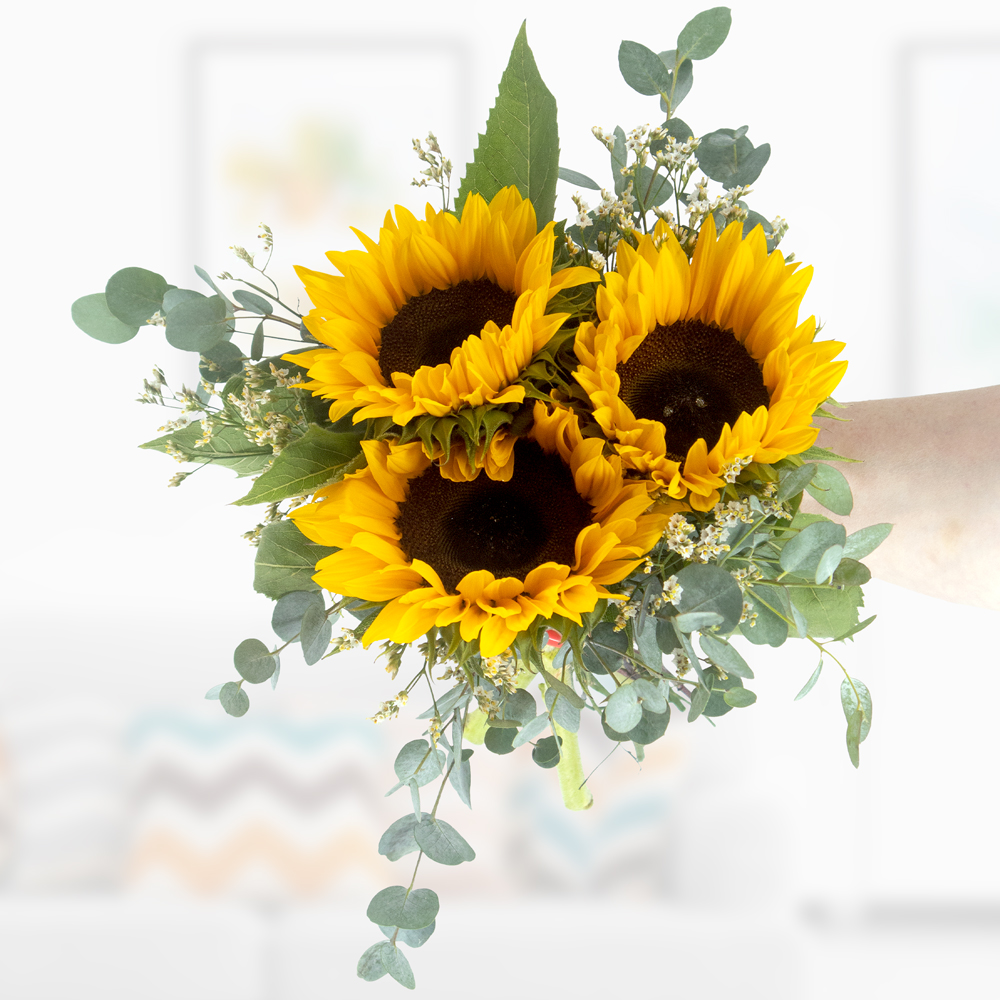Blumenstrauß Sonnenblumen mit Eukalyptus – Blumenstrauß von Blumenshop online bestellen