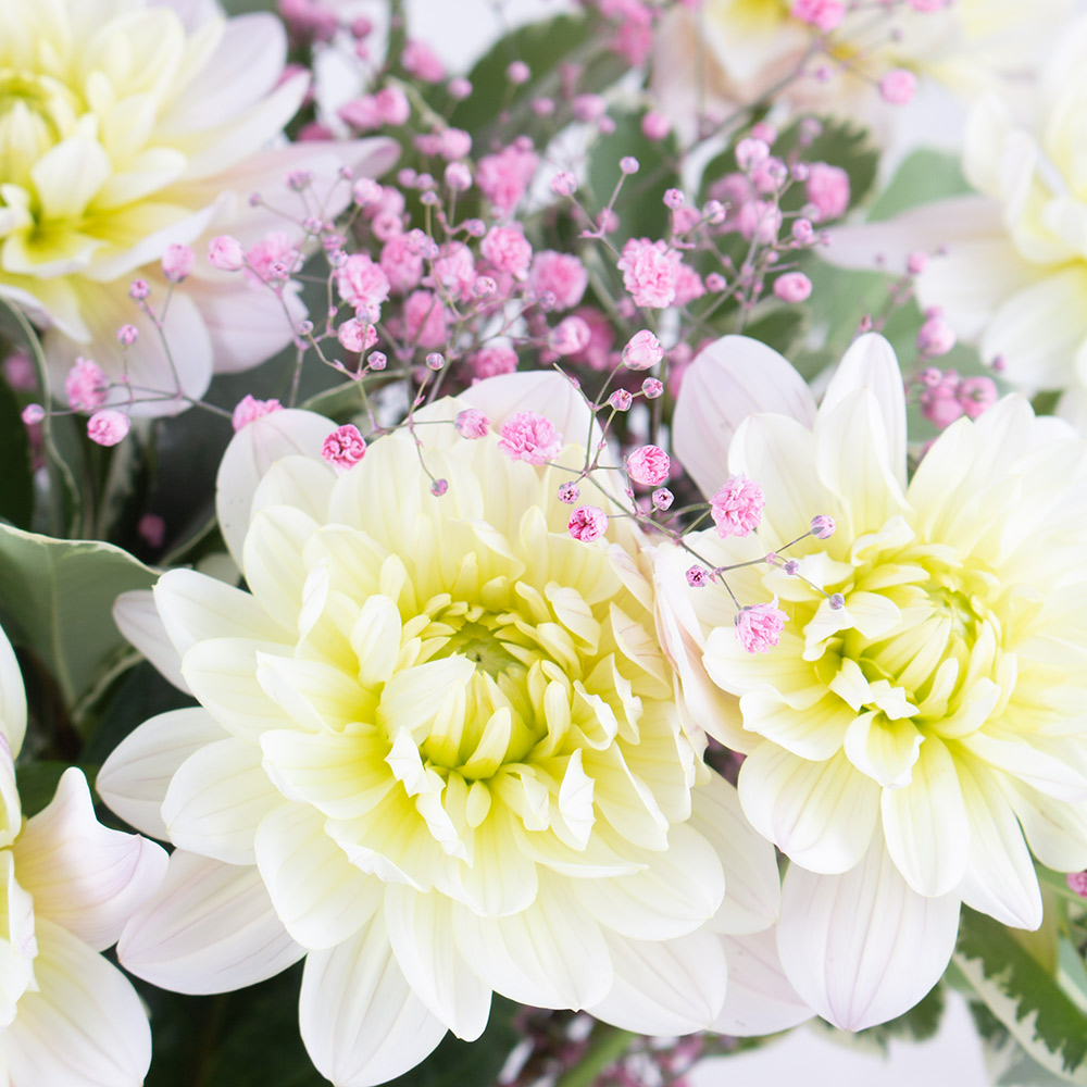 Blumenstrauß Dahlia