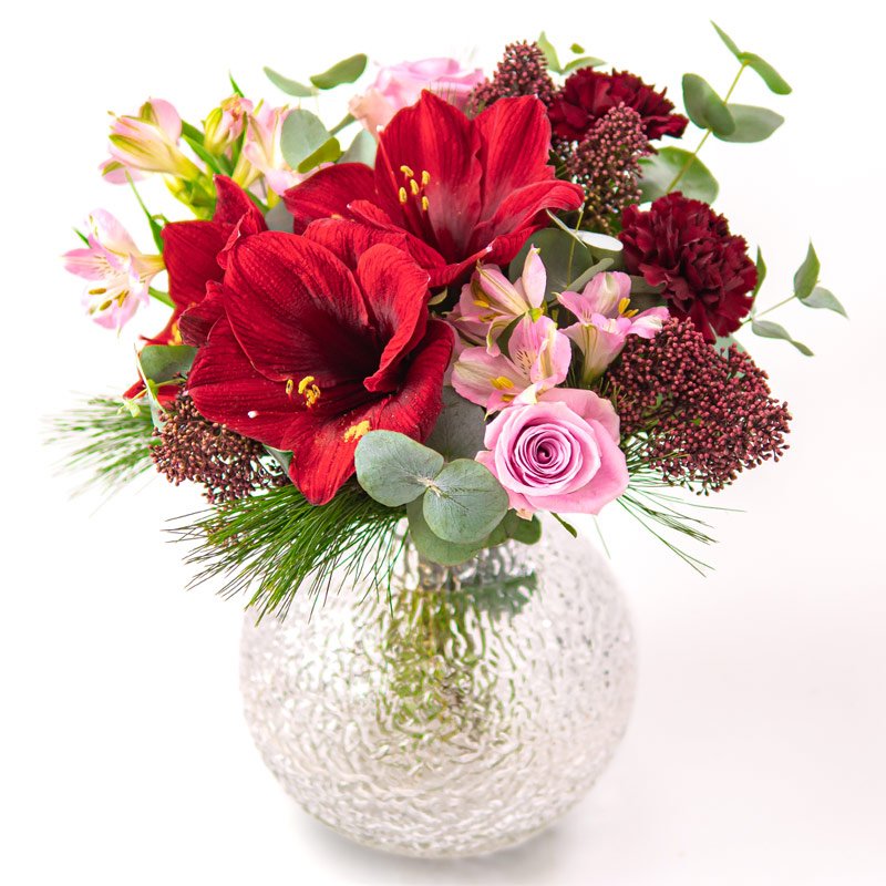 Zuckersüßer Weihnachtsgruß