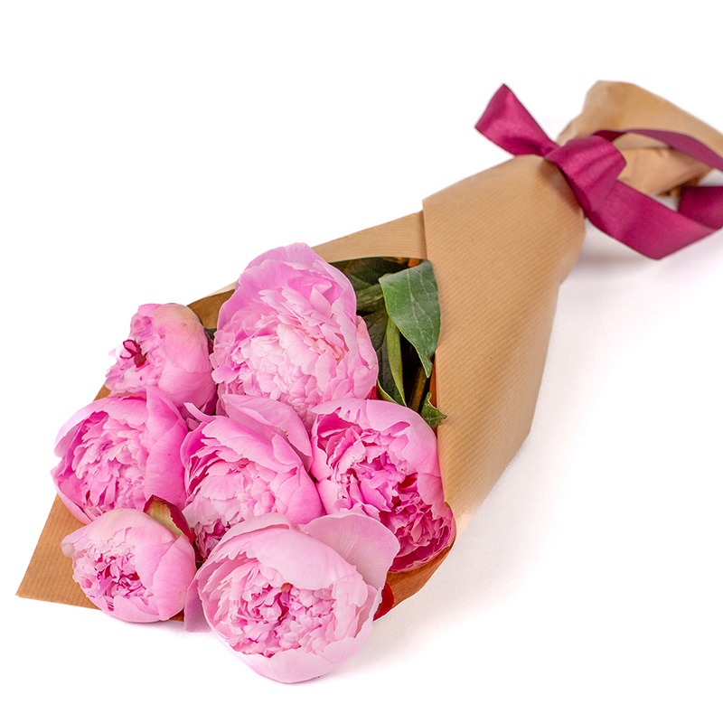 Praktfulle rosa peoner