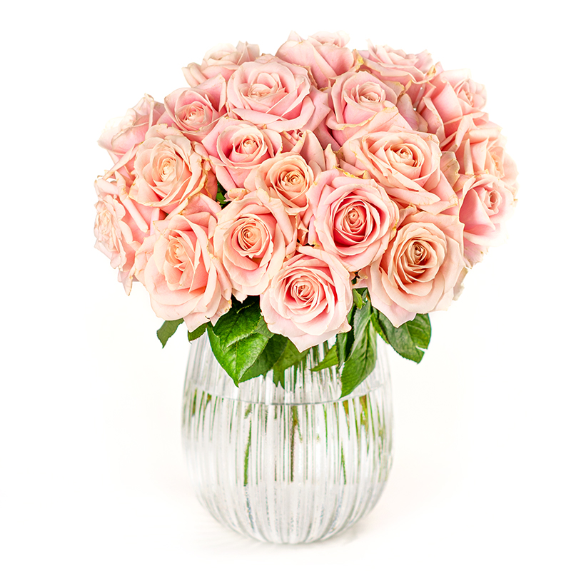 Rosaroter Rosenstrauß