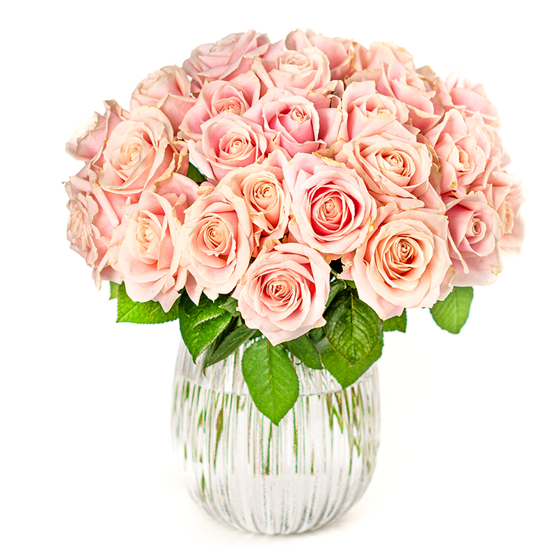 Rosaroter Rosenstrauß