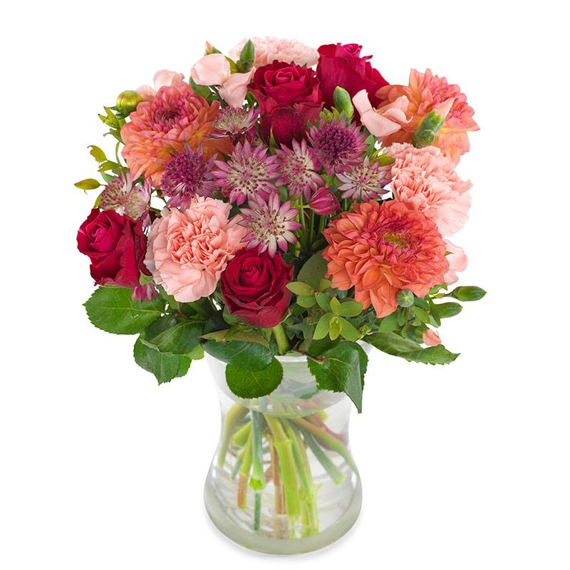 Dejlige dahlia