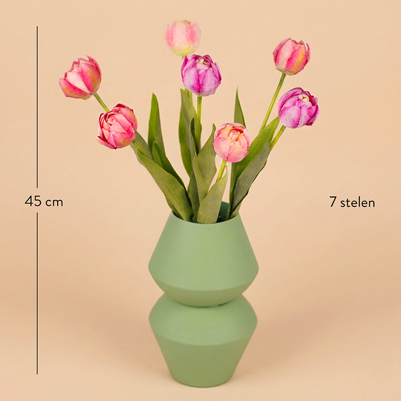 Plant delivery | Order indoor plants online | Euroflorist