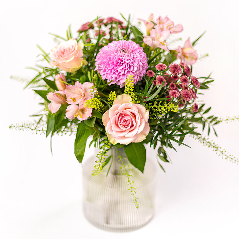 Vakker i rosa