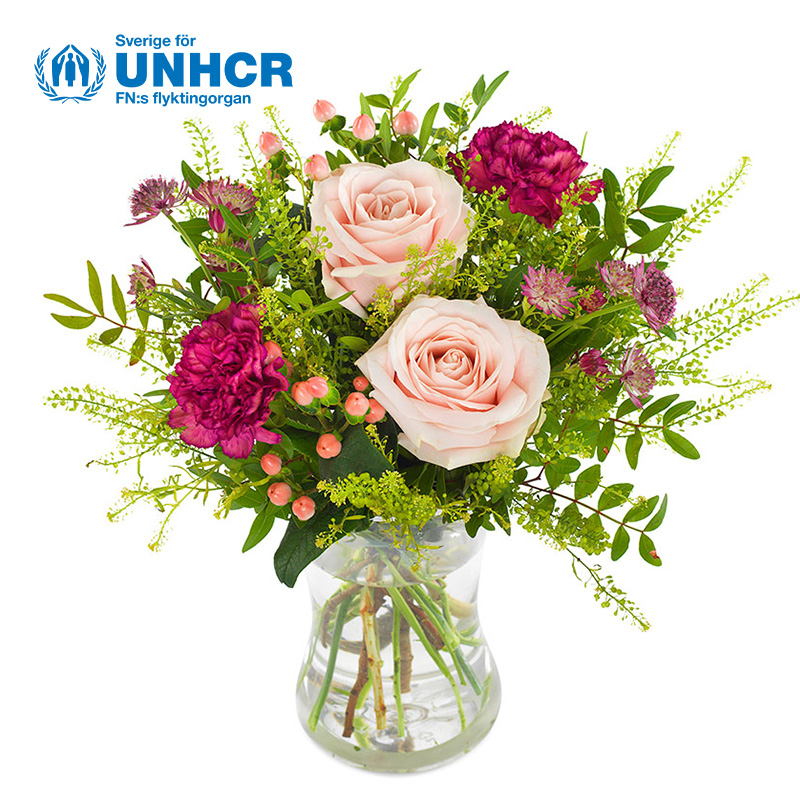UNHCR-buketten