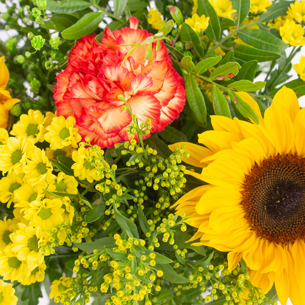 Blumenstrauß Südwind