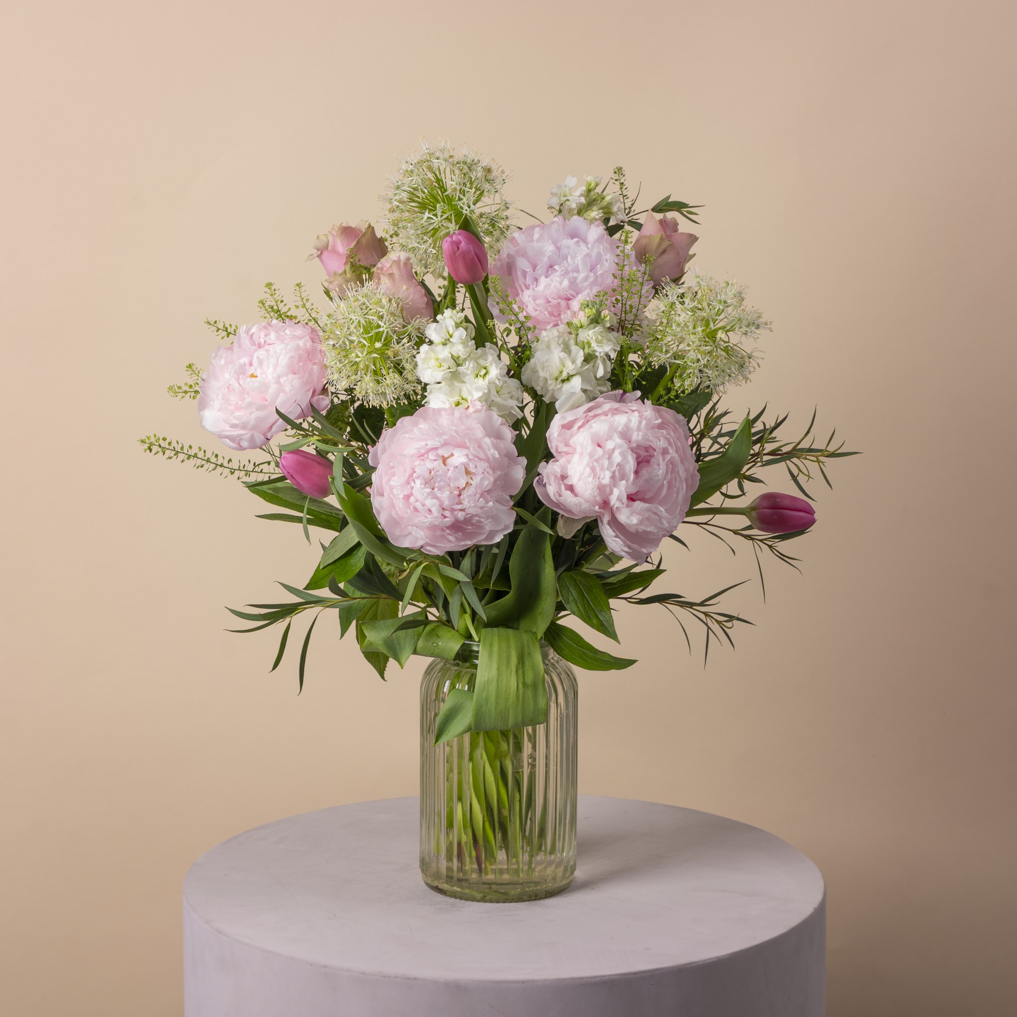 Allium Princess image