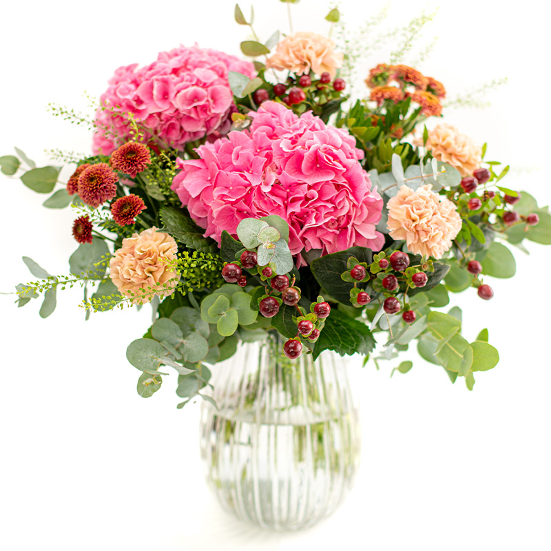 Flirtende hortensia