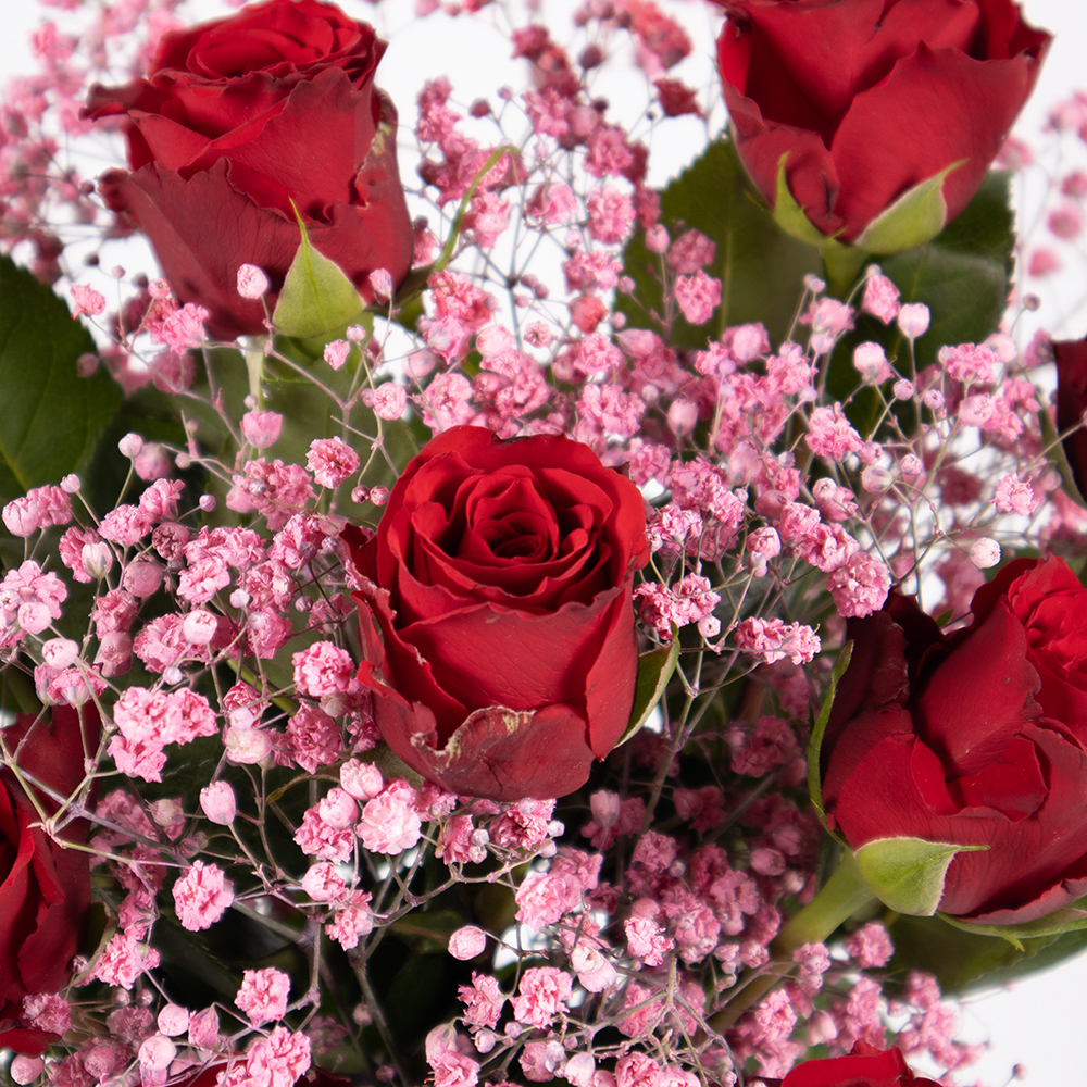 10 Rote Rosen (40cm) mit Schleierkraut