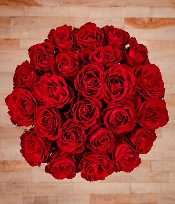 Irish商品24cm Mediterraneo Dublin 24 in W x 19. 5 in. D x 21 in. H 1 Sink