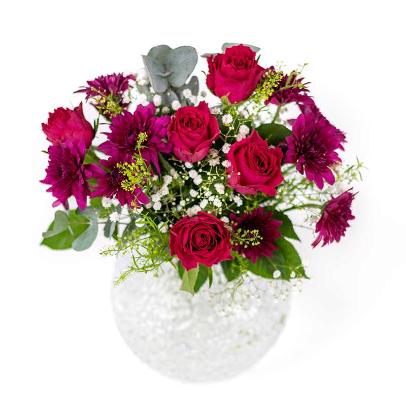 Höst i plommonrött