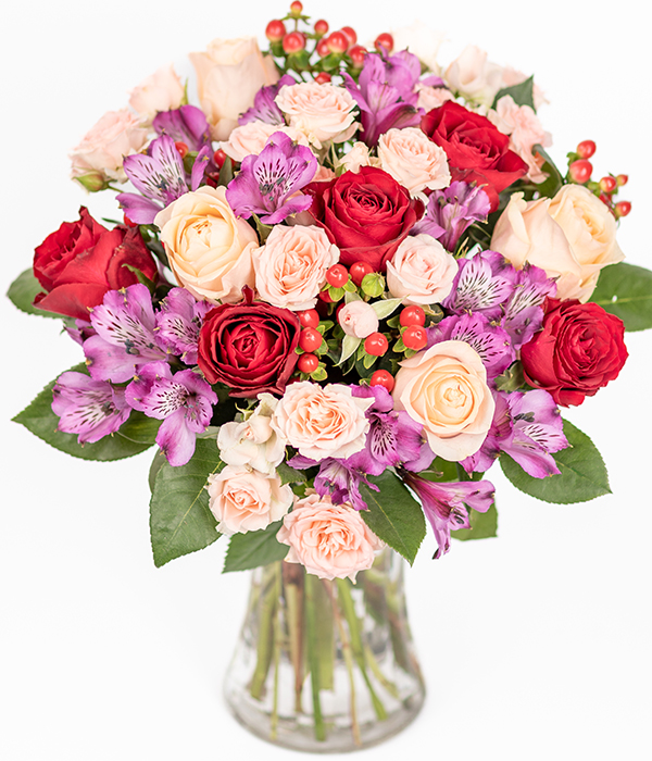 Bold Roses | Eflorist.co.uk
