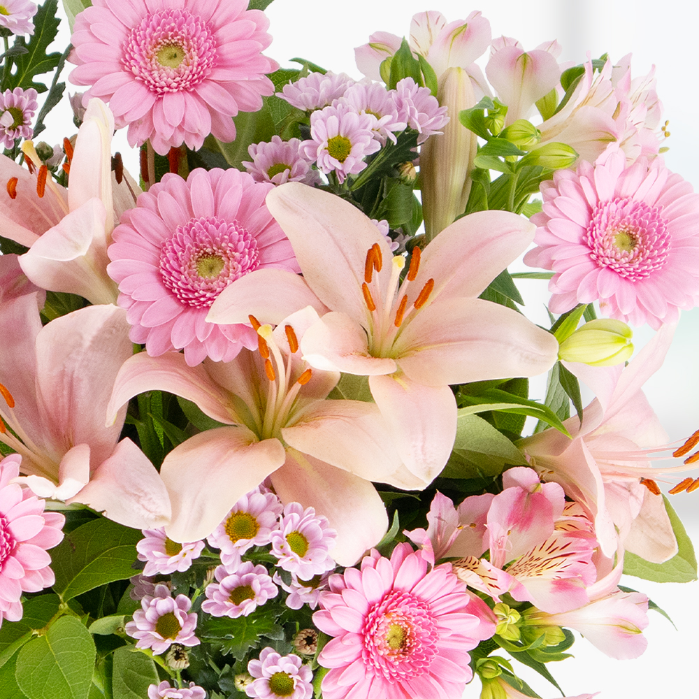 Blumenstrauß Rosa Gerbera
