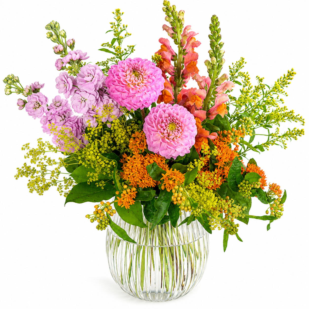 Dahlien-Wiese
