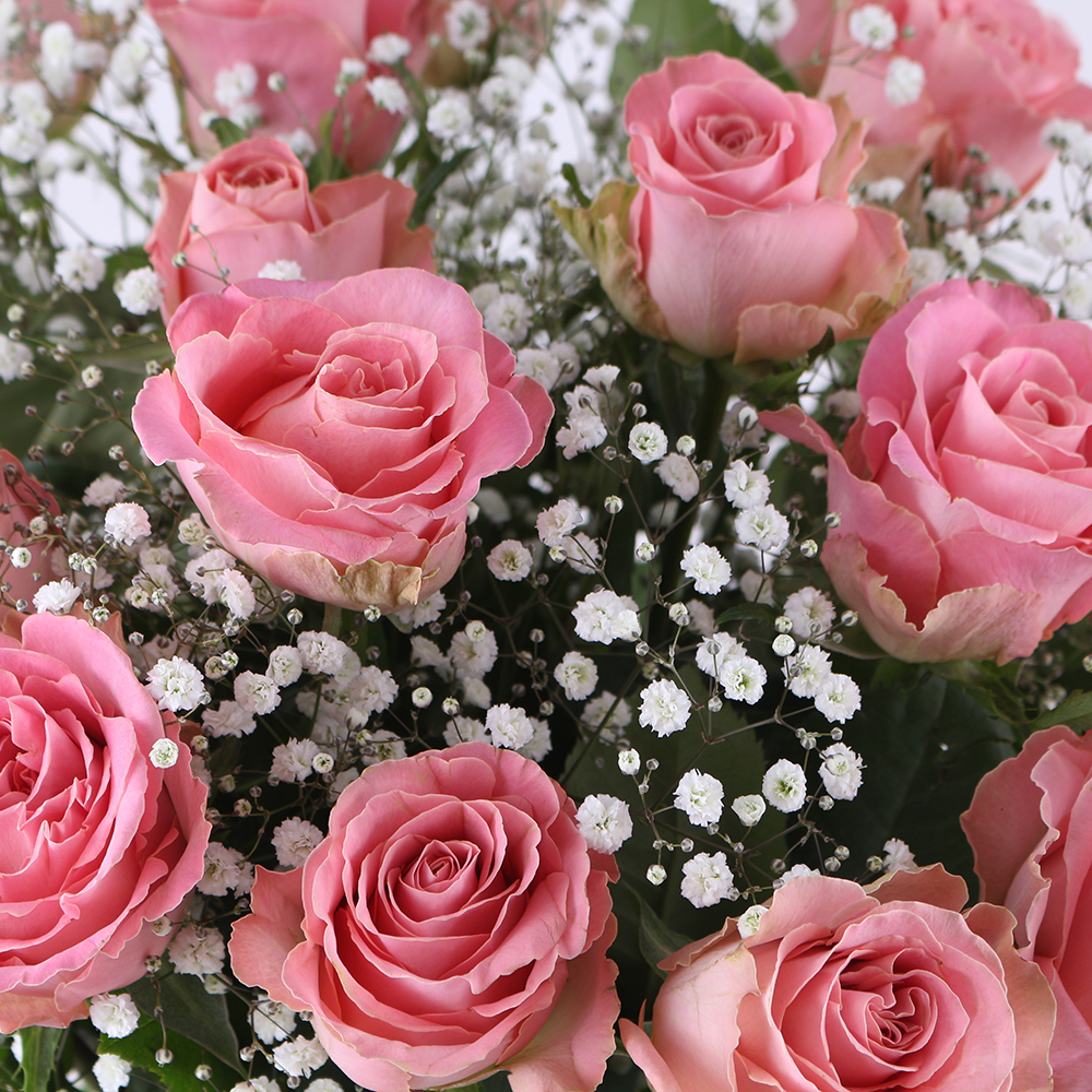 Rosa Rosen mit Schleierkraut - Premium-Rosen
