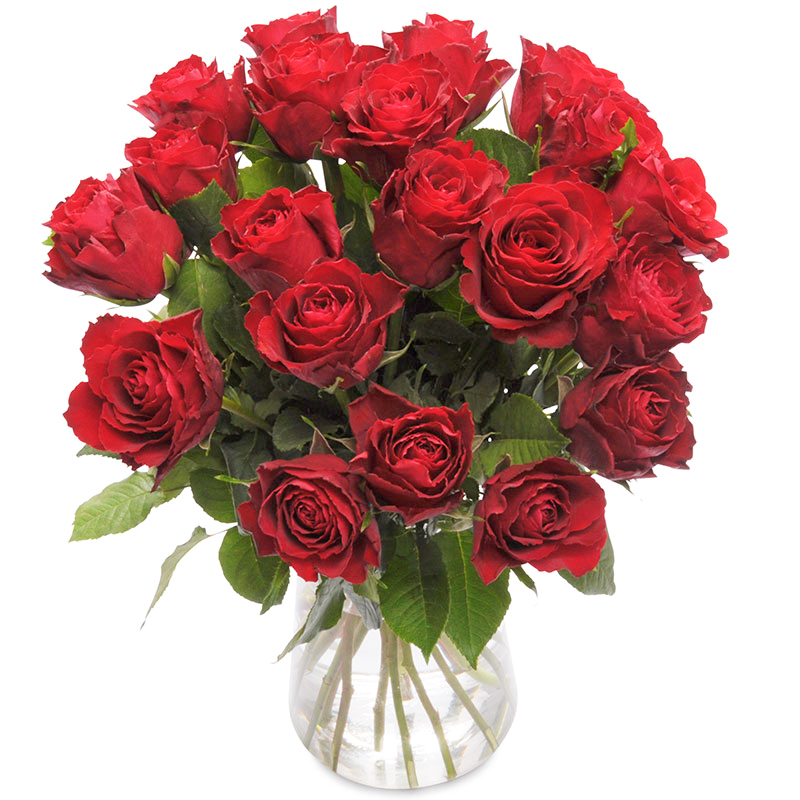 20 röda rosor