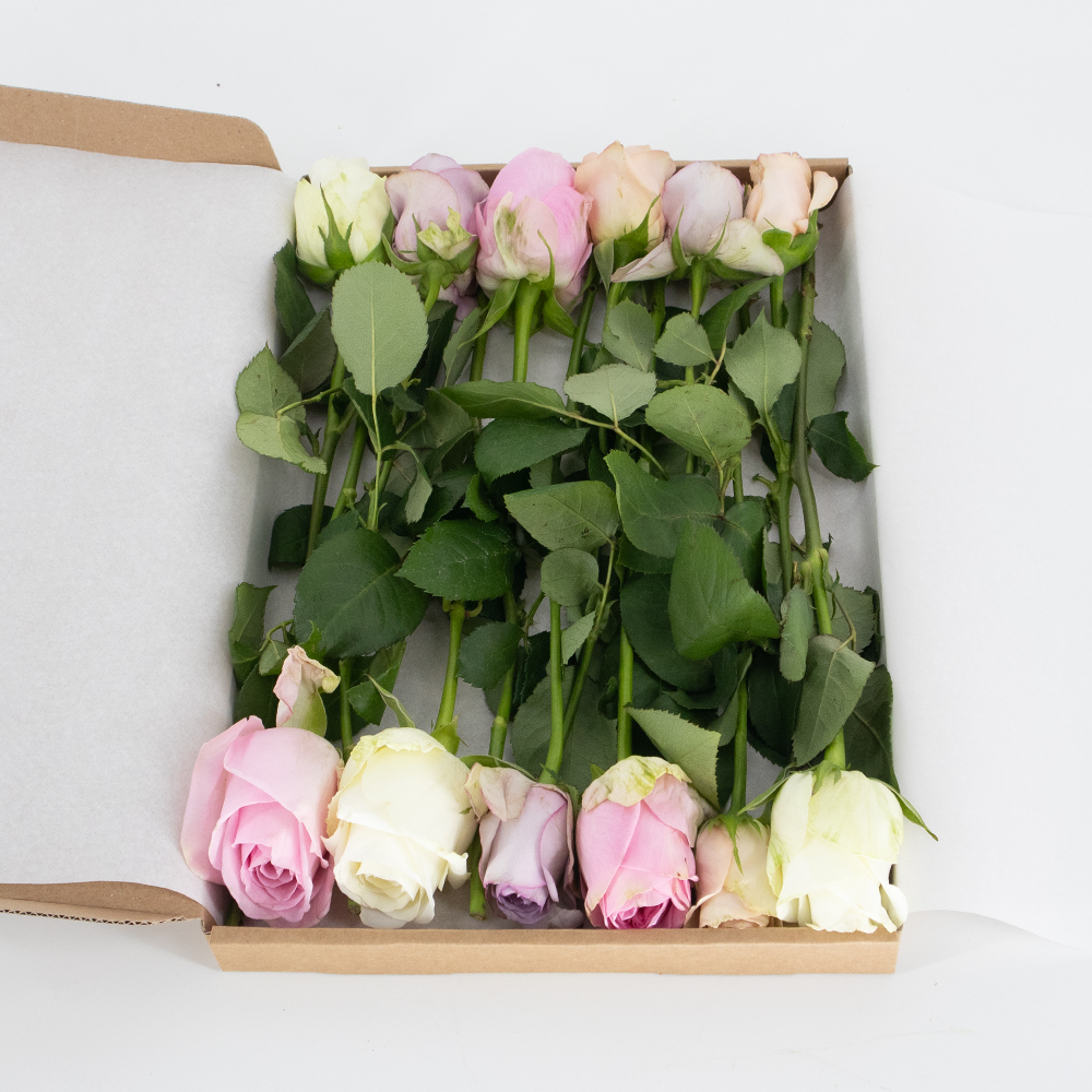Rosenbox 12 Frische Rosen Pastell-Mix