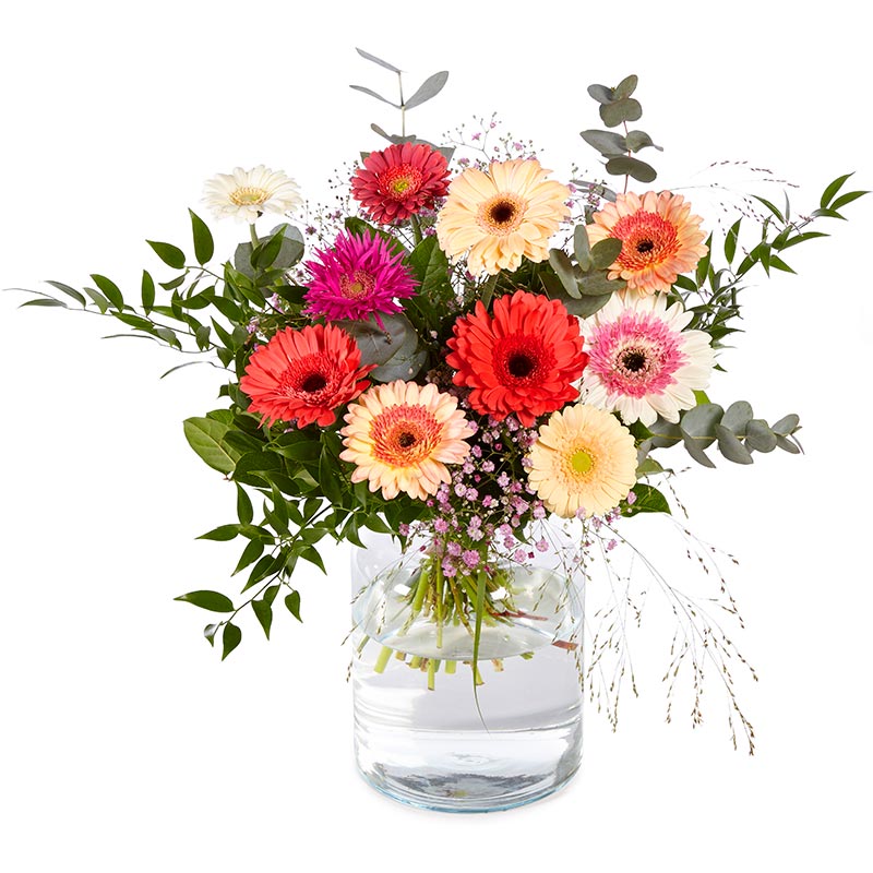 Glorieuze Gerbera