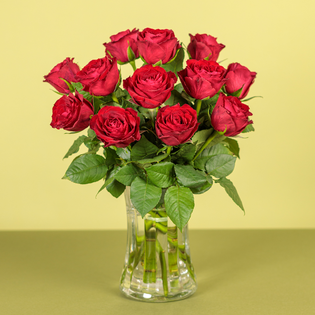 A Dozen Red Roses