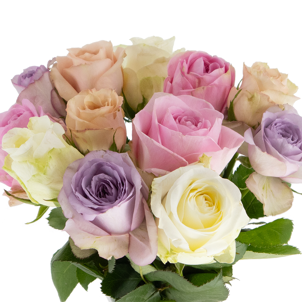 Rosenbox 12 Frische Rosen Pastell-Mix