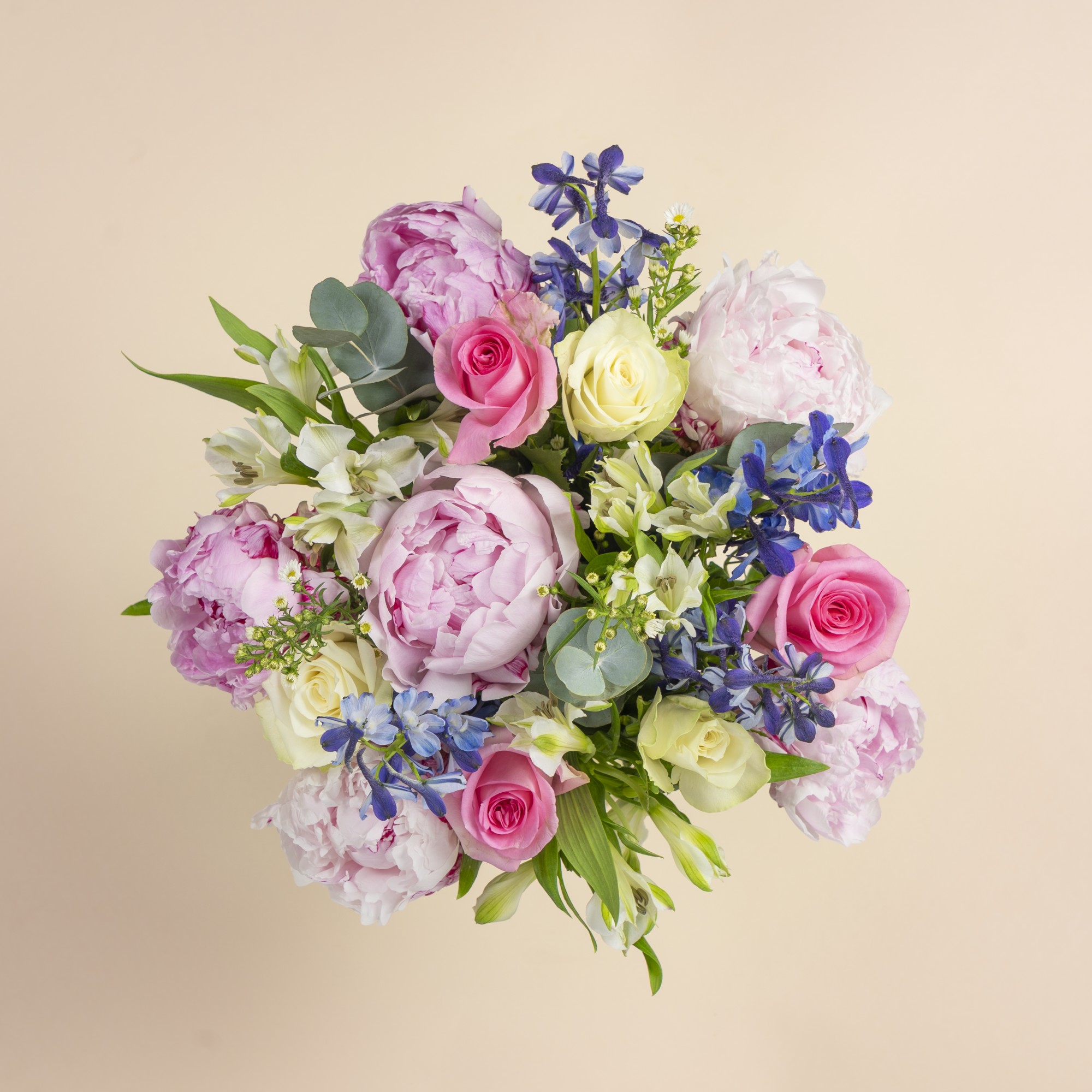 Peony Royale | Serenata Flowers