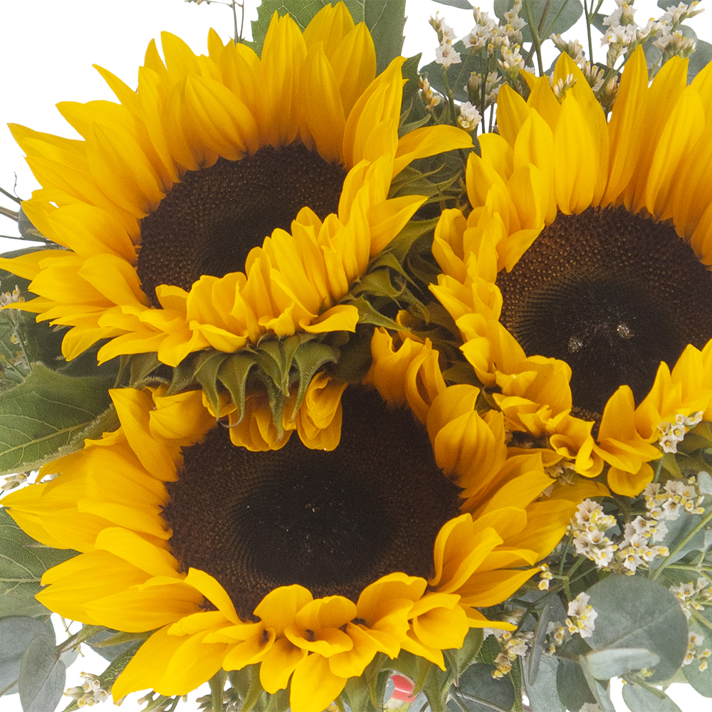 Blumenstrauß Sonnenblumen mit Eukalyptus