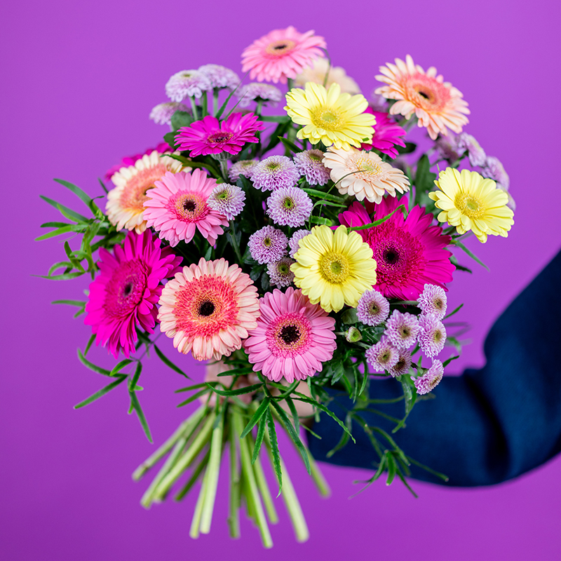 Zonneschijn Gerbera