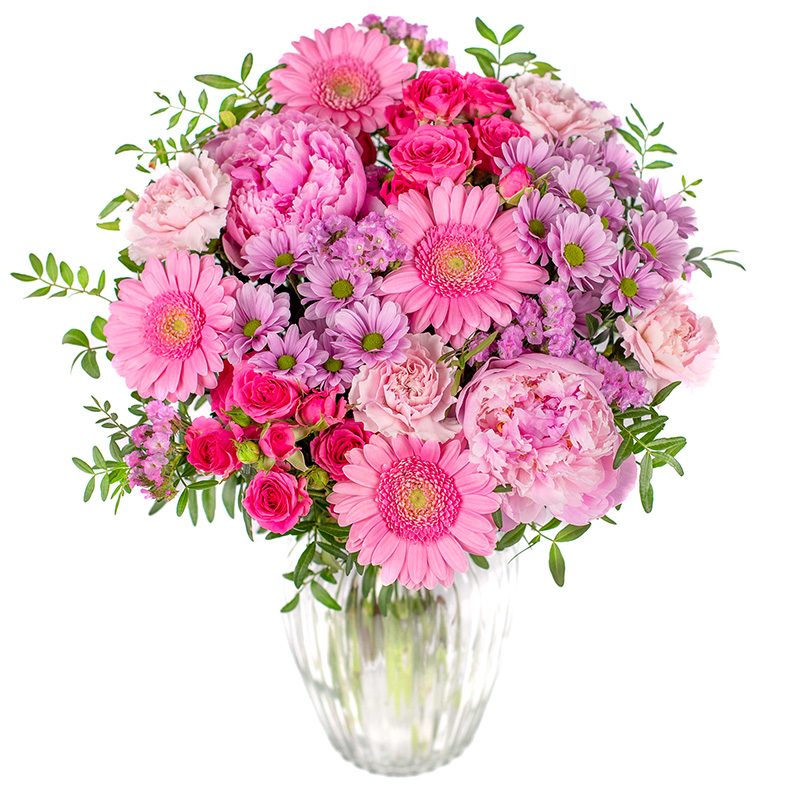 Vackert rosea
