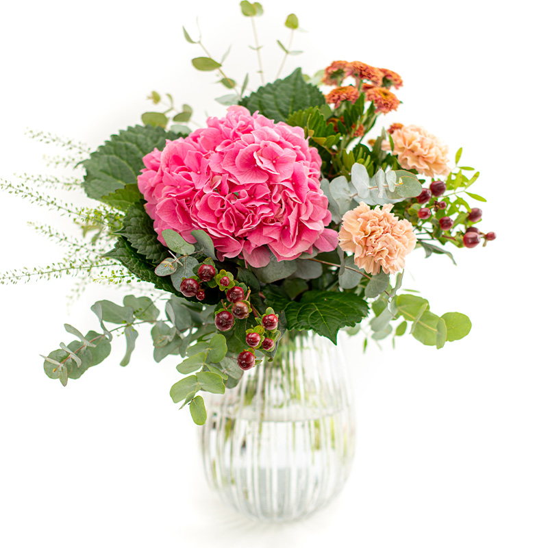 Flirtende hortensia