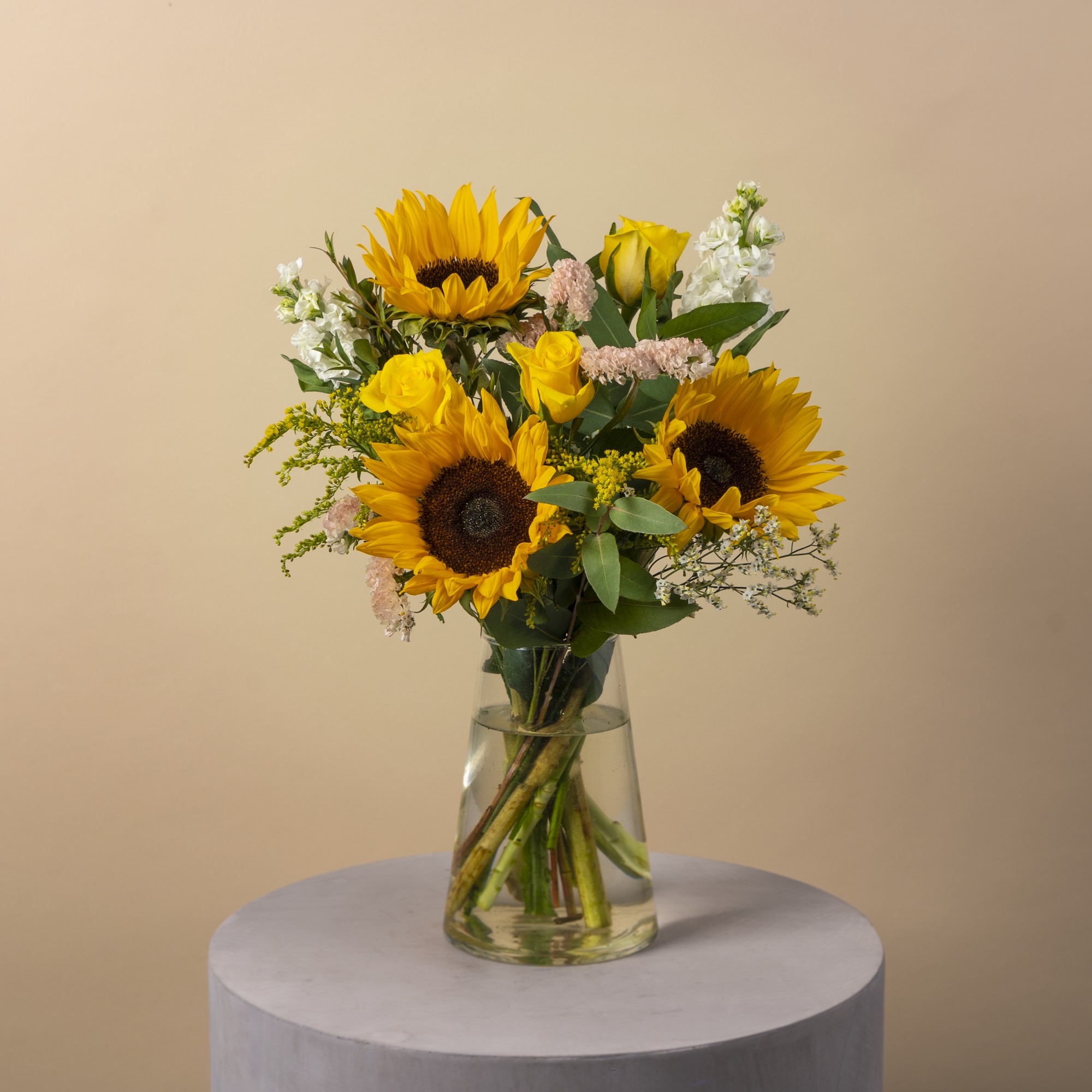 Sunflower Meadow image