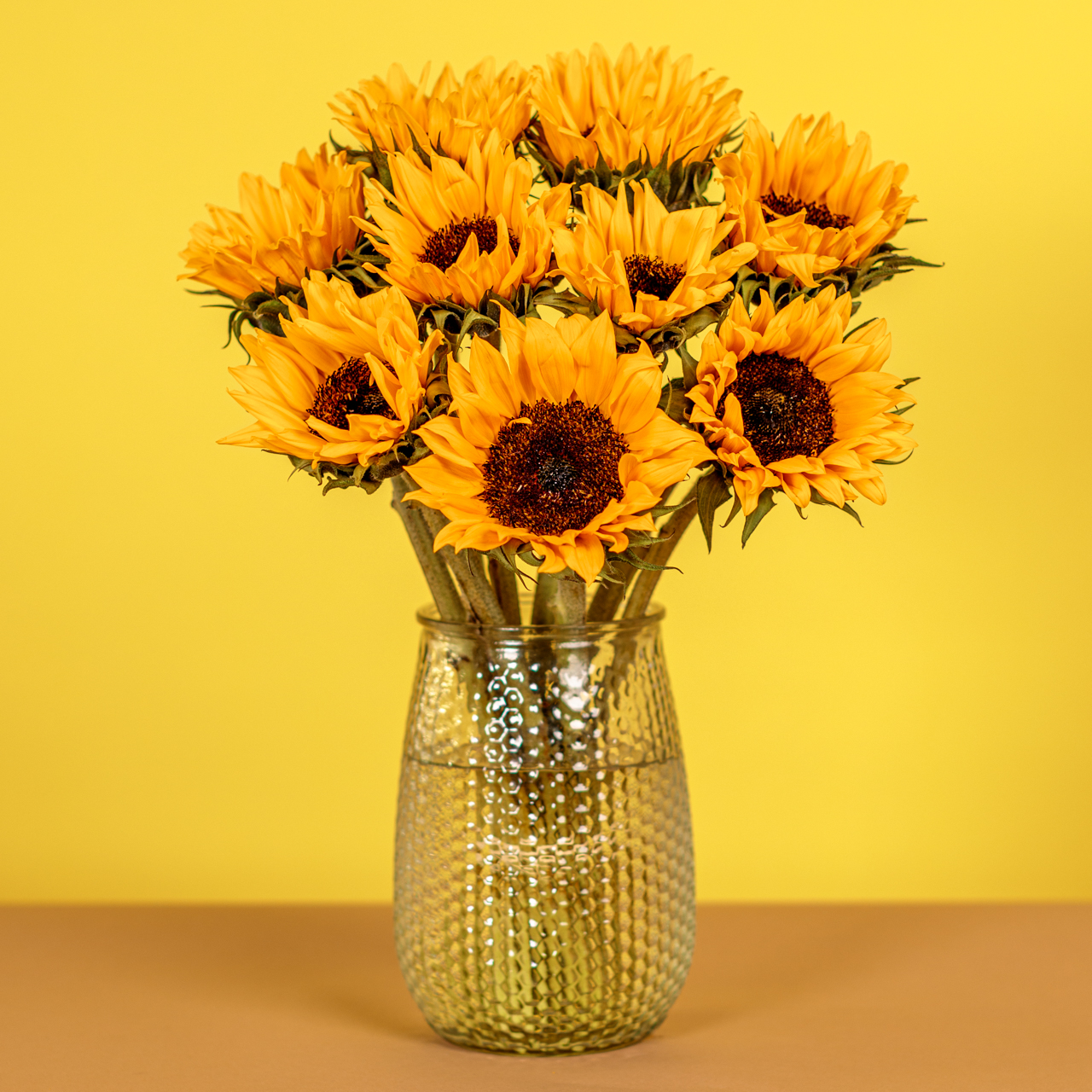 Sunshine Delight
