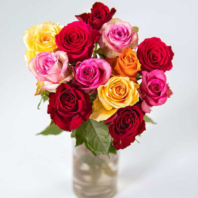 Mixed Roses Bouquet | Flower Delivery