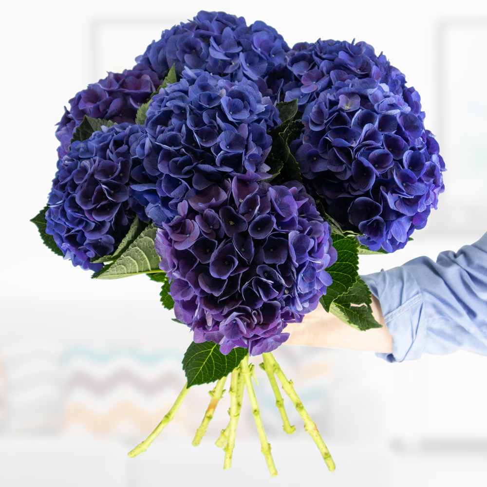 Blauer Hortensien Blumenstrauß