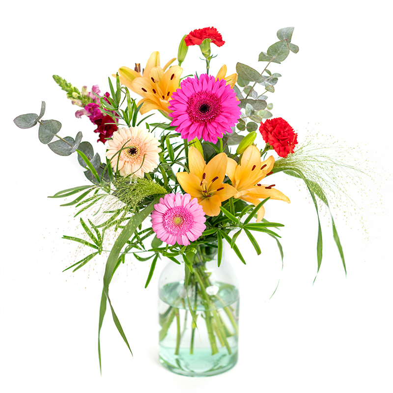 Vreugdebloemen