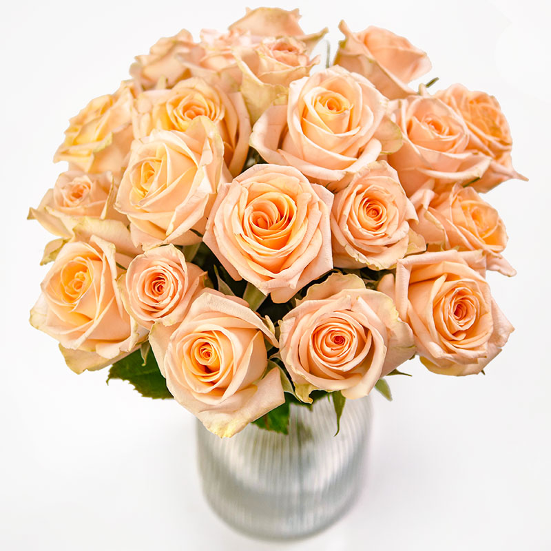 Apricot Spray Roses Apricot roses | Send flowers | Euroflorist