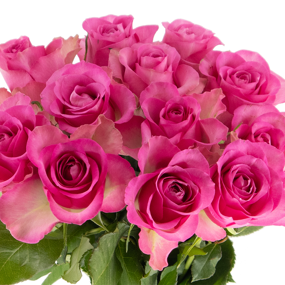 Rosenbox 12 Frische Rosen Rosa