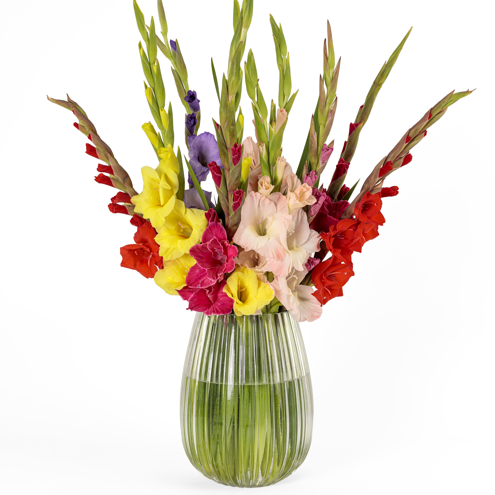 Bunter Gladiolenstrauß