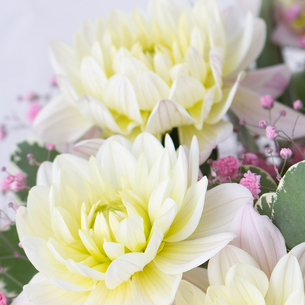 Blumenstrauß Dahlia