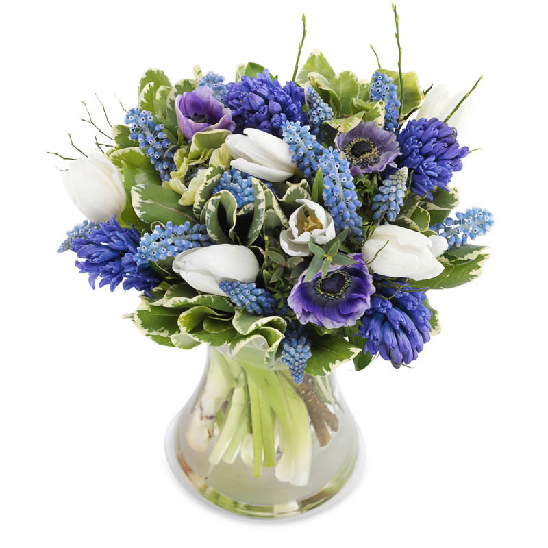 Dekoratørens søte blå