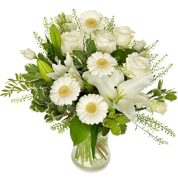 Witte elegantie