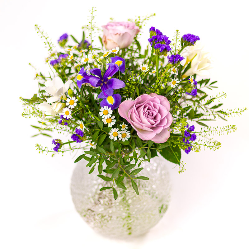 Söt Iris