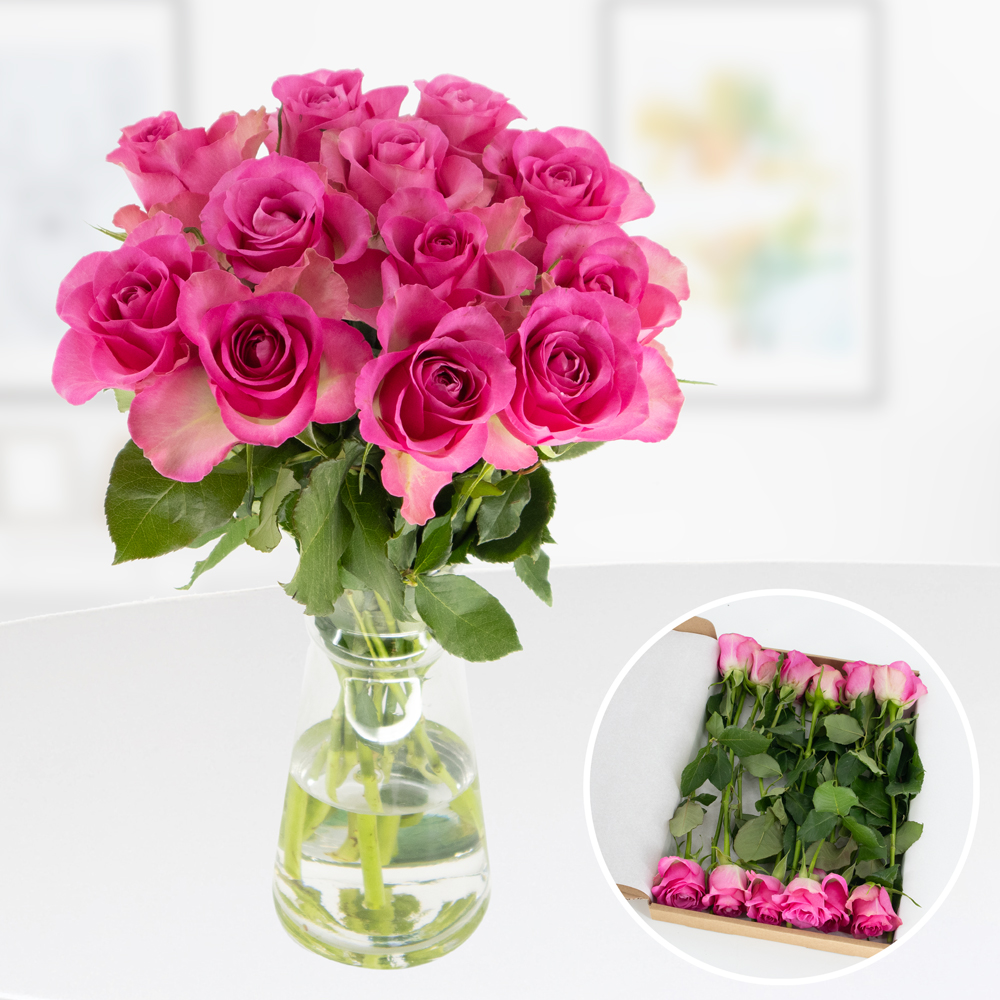 Rosenbox 12 Frische Rosen Rosa