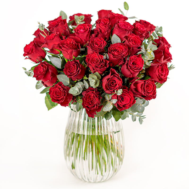 Rote Rosen & Eukalyptus